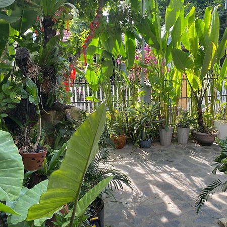 Sunny Garden Homestay Hoi An Exterior photo
