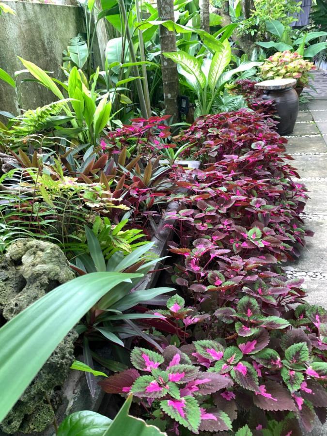 Sunny Garden Homestay Hoi An Exterior photo