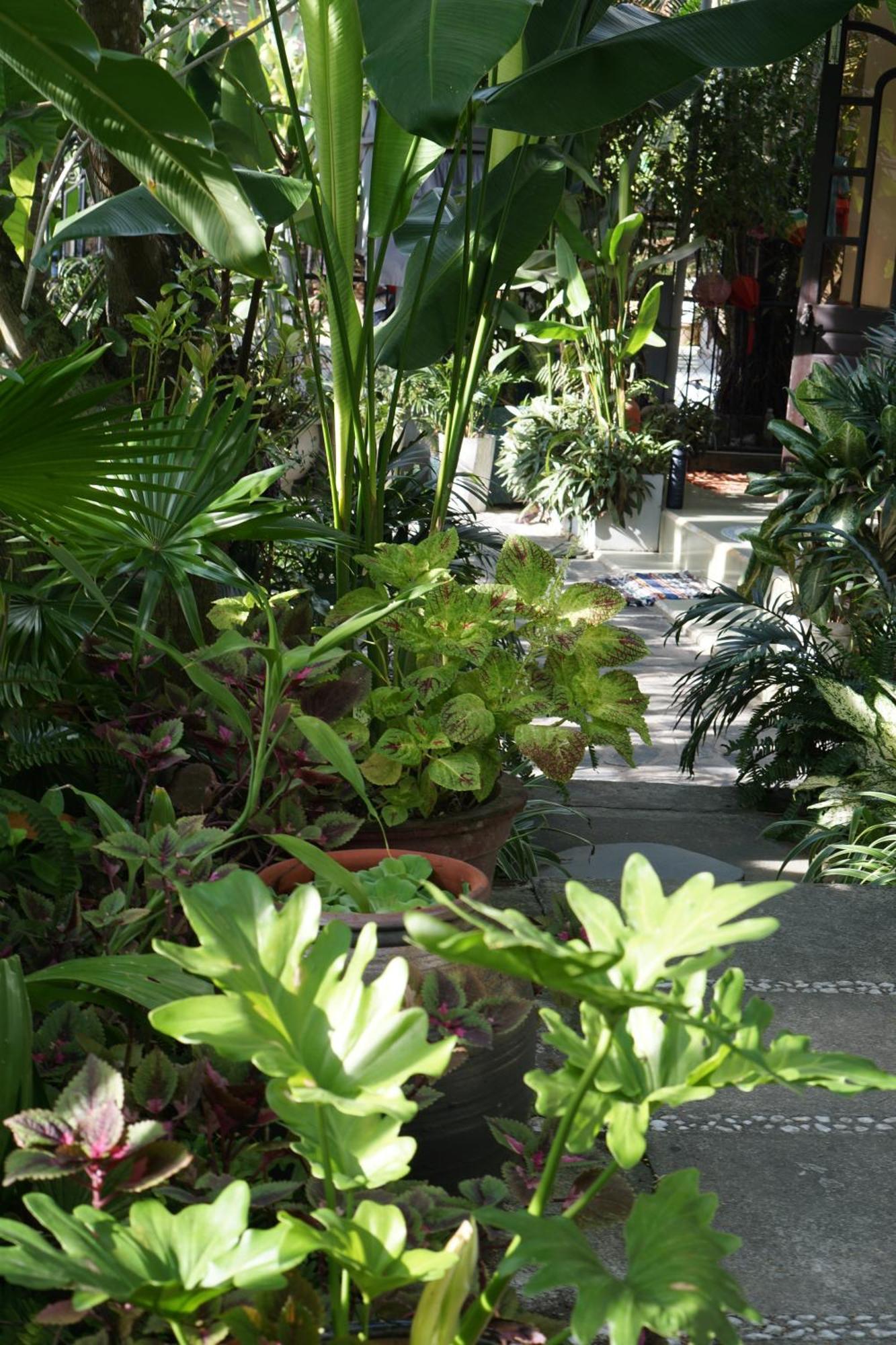 Sunny Garden Homestay Hoi An Exterior photo