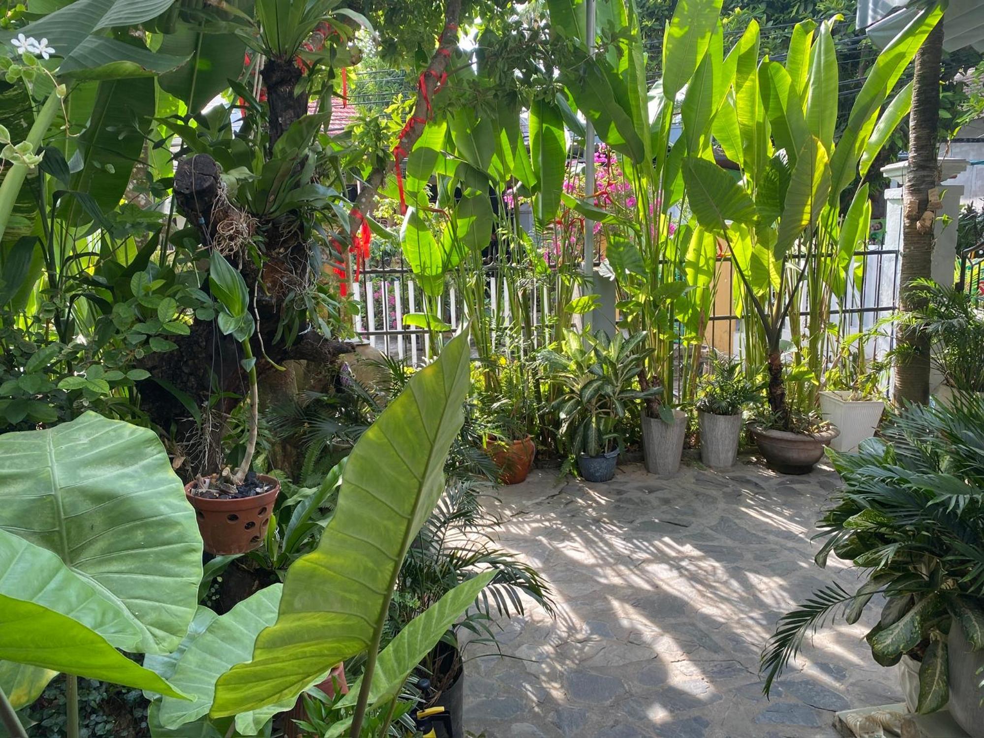 Sunny Garden Homestay Hoi An Exterior photo