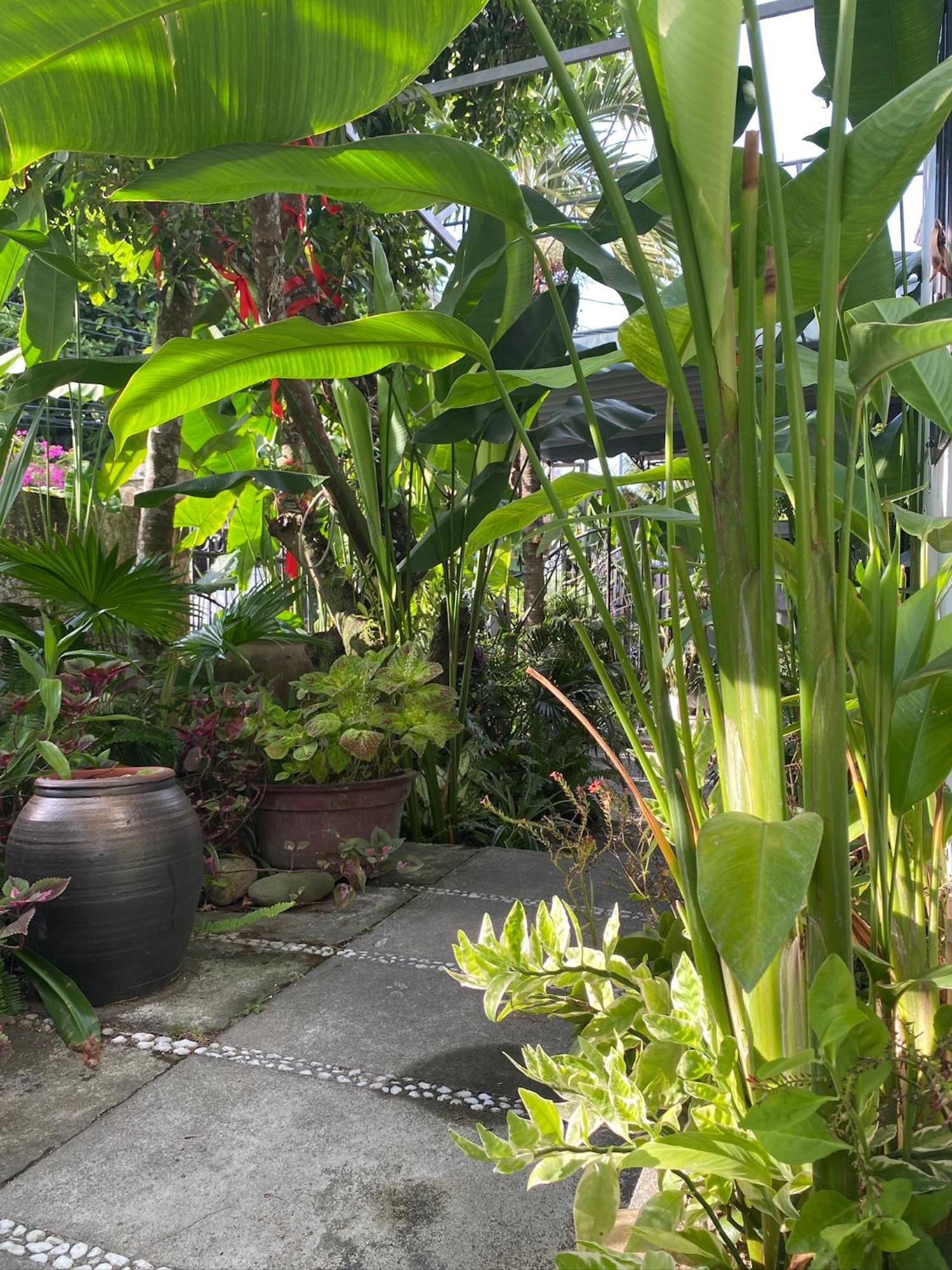 Sunny Garden Homestay Hoi An Room photo